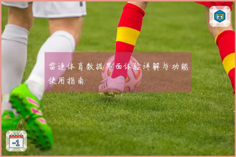 雷速体育数据界面体验详解与功能使用指南